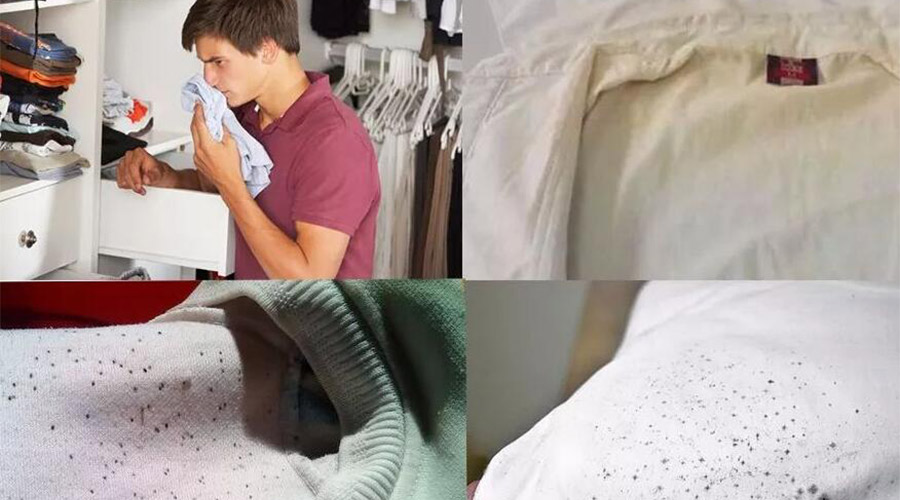 衣服護理小常識：潮濕天衣物有霉味不宜穿  該怎么辦？