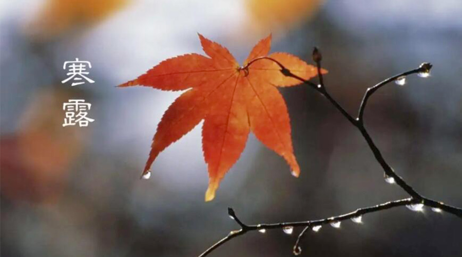 寒露時(shí)節(jié)！金環(huán)電器提醒大家要注意的事項(xiàng)