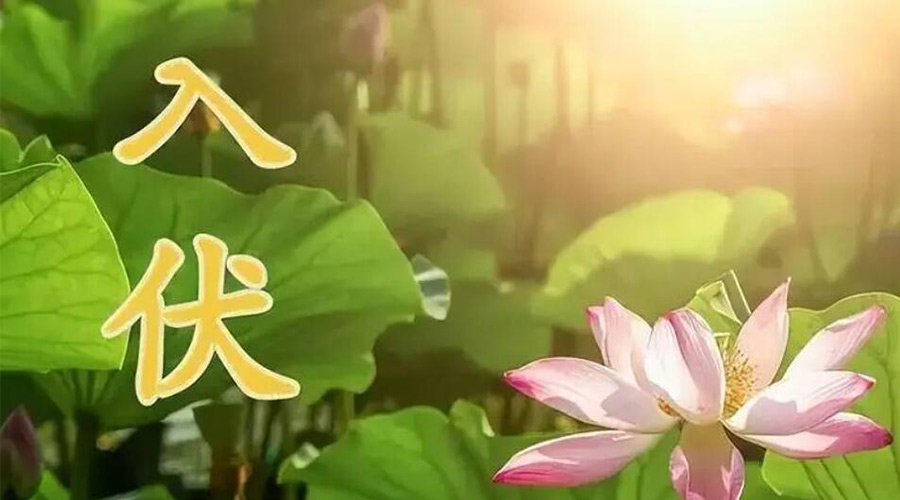 入伏天來襲！金環(huán)電器提醒大家要注意的事項(xiàng)