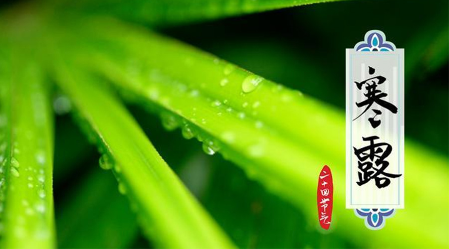 寒露時(shí)節(jié)到！金環(huán)電器提醒這些干衣事項(xiàng)要注意