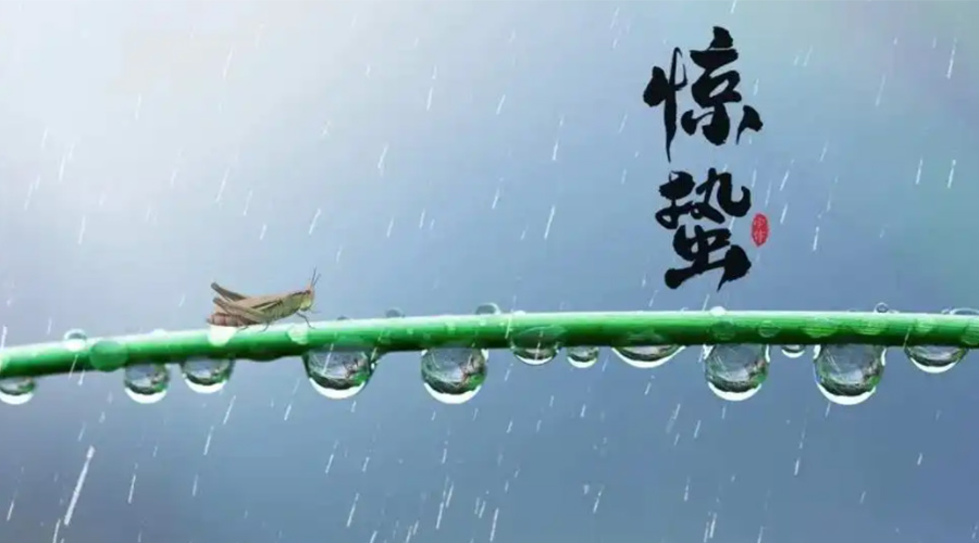 驚蟄時(shí)節(jié)！金環(huán)電器提醒大家干衣要注意這些