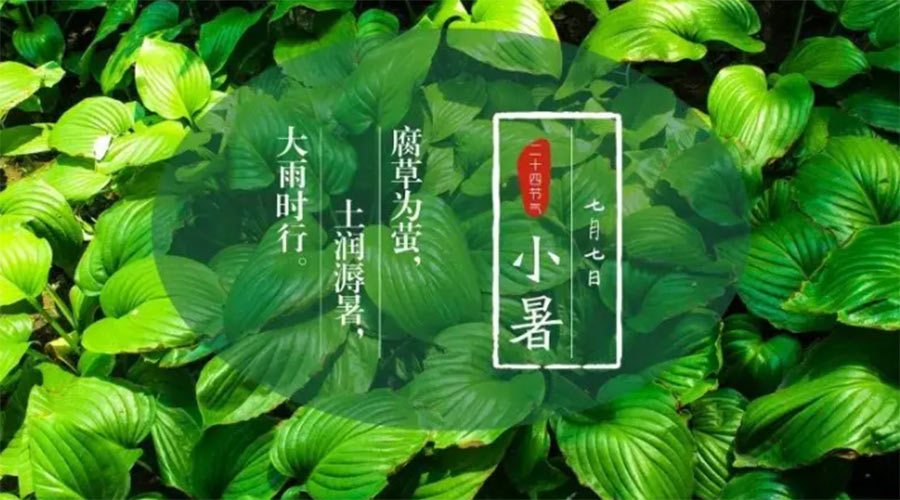 小暑時節(jié)來到！金環(huán)電器提醒大家要注意的事項(xiàng)
