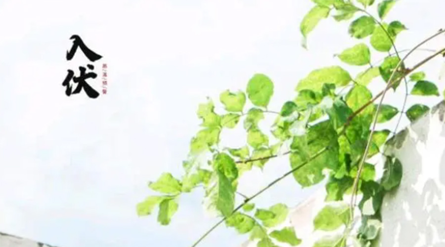 初伏時節(jié)！金環(huán)電器提醒大家要注意的事項