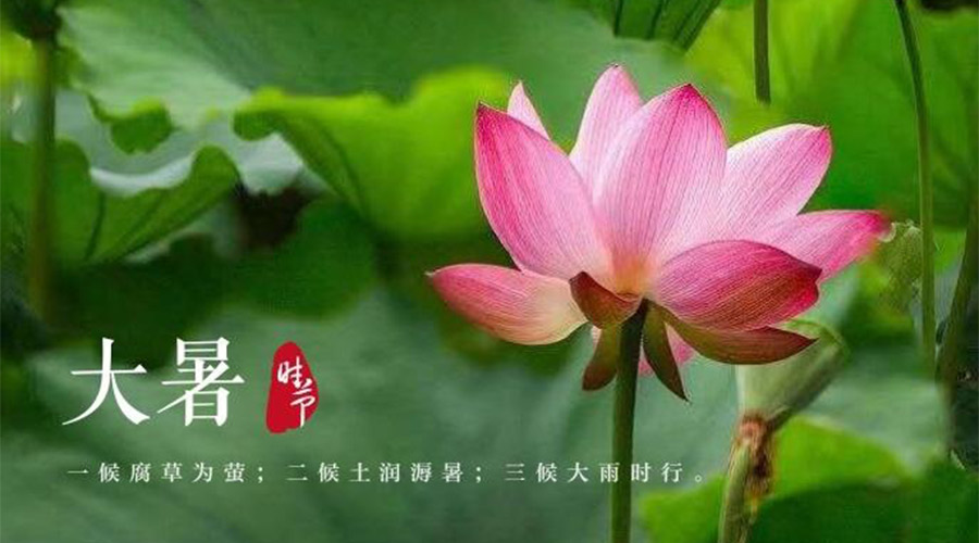 大暑時(shí)節(jié)！金環(huán)電器提醒大家要注意的事項(xiàng)